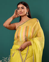 Hand Embroidery Organza Lime Silk Saree