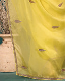 Hand Embroidery Organza Lime Silk Saree