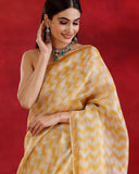 Gold Stripes Silver Tissue Saree