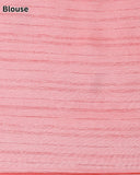 Organza Hand Embroidary Saree