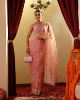 Organza Hand Embroidary Saree