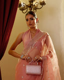 Organza Hand Embroidary Saree