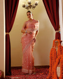 Organza Hand Embroidary Saree