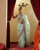 Organza Hand Embroidary Saree