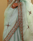Organza Hand Embroidary Saree