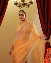 Organza Embroidary Saree