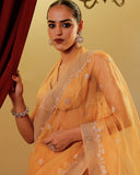 Organza Embroidary Saree