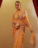 Organza Embroidary Saree