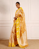 Woven Tissue Saree
