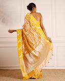Woven Tissue Saree