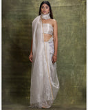 Silver Pure Organza Tissue Saree
