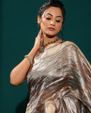 Handloom Silver Silk Saree