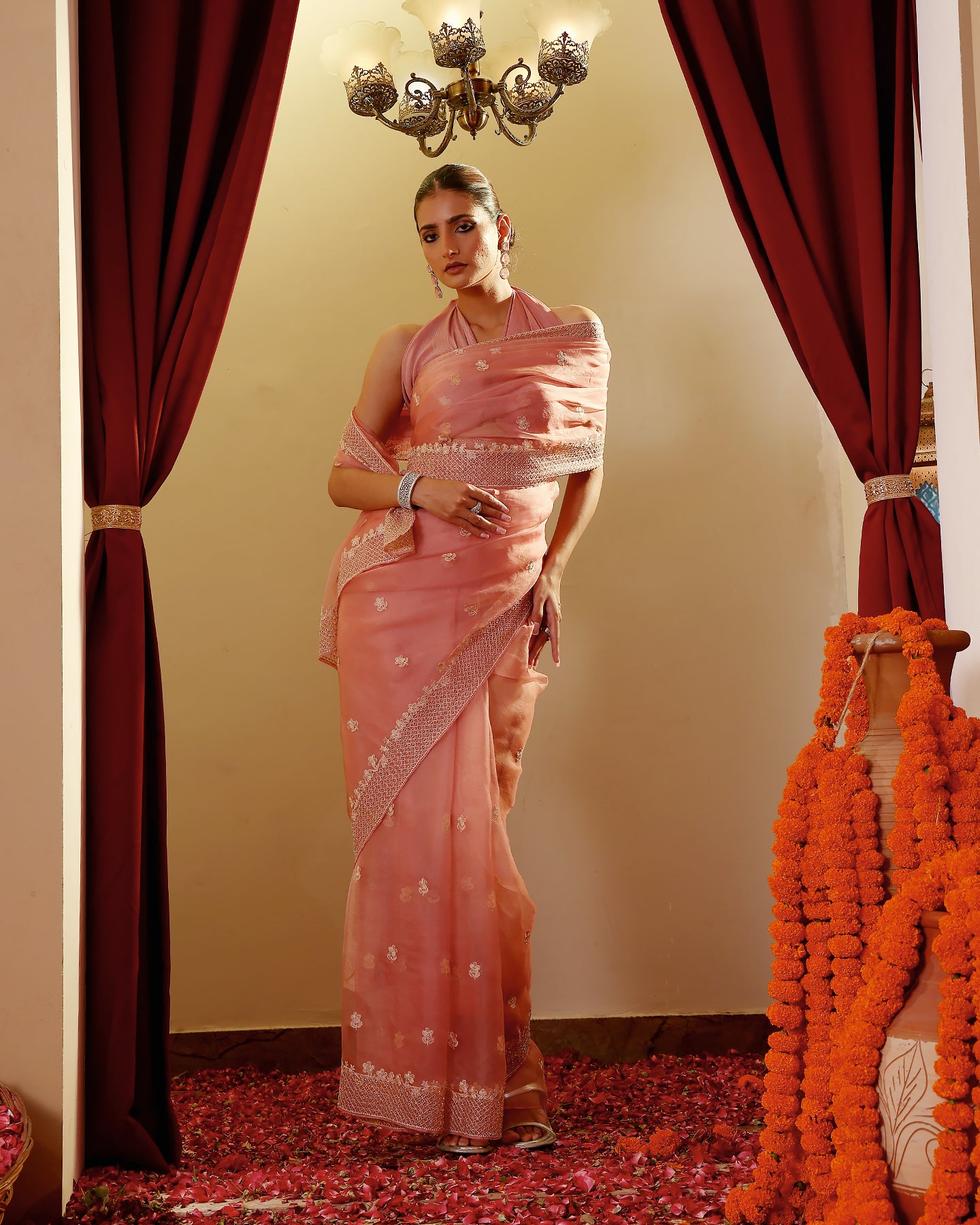 Organza Hand Embroidary Saree