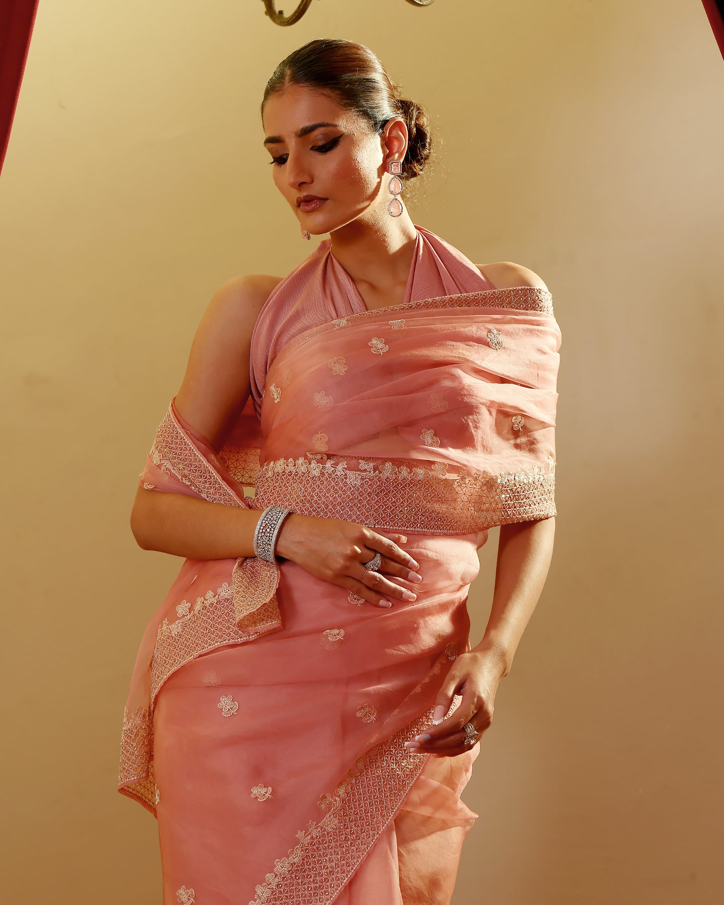 Organza Hand Embroidary Saree