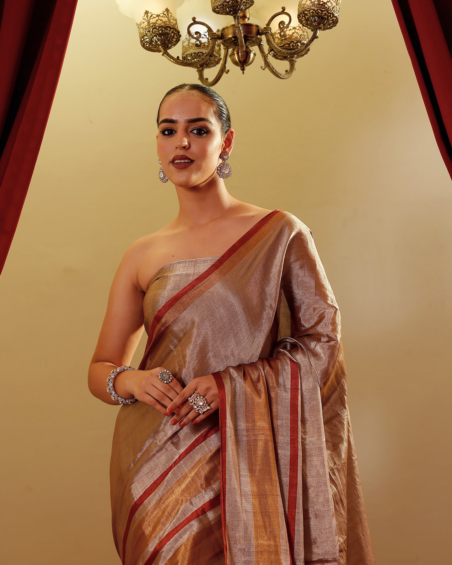 Handloom Tissue Saree