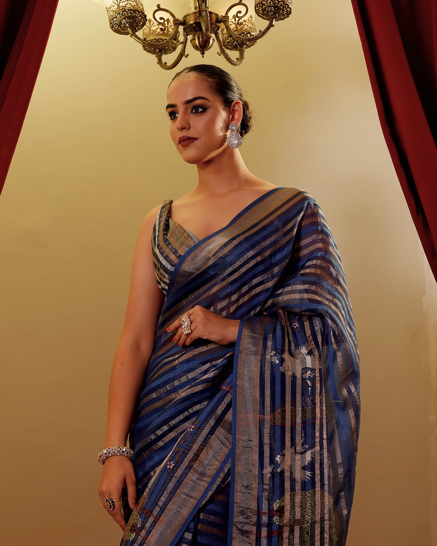 ORGANZA STRIPES SAREE