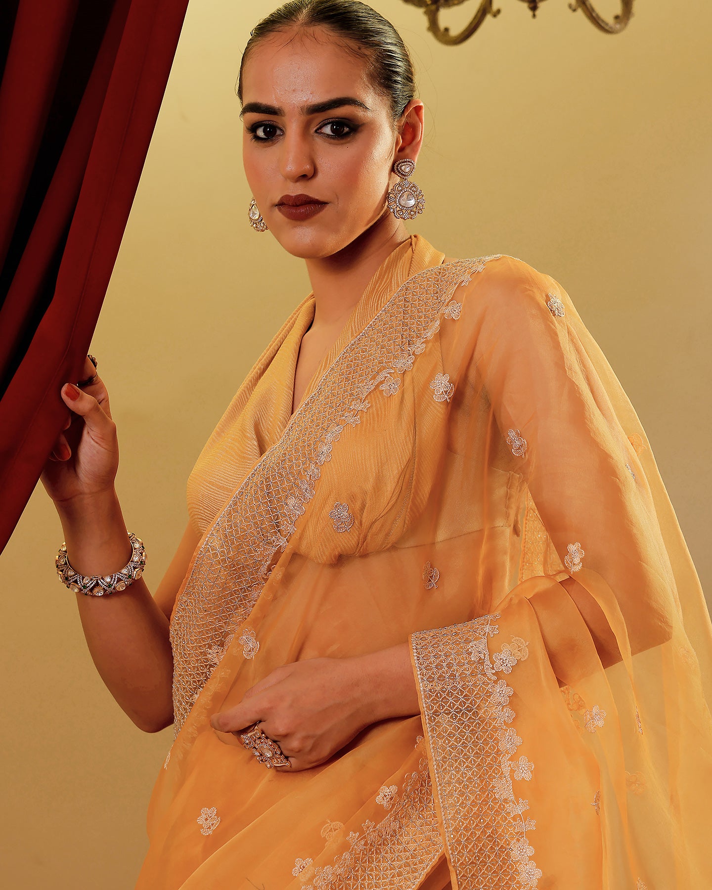 Organza Embroidary Saree