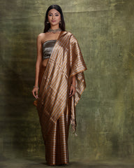 Handwoven Gold - Silver Tissue Silk Saree